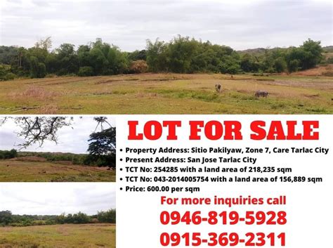 lot for sale in tarlac